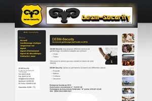 DesmSecurity.be