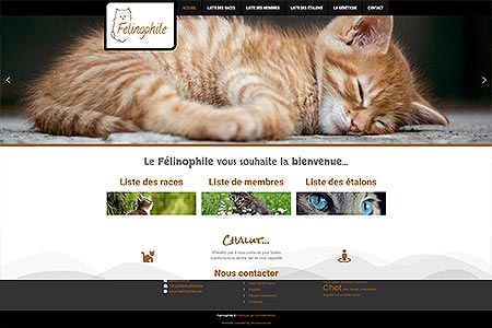 Site Félinophile